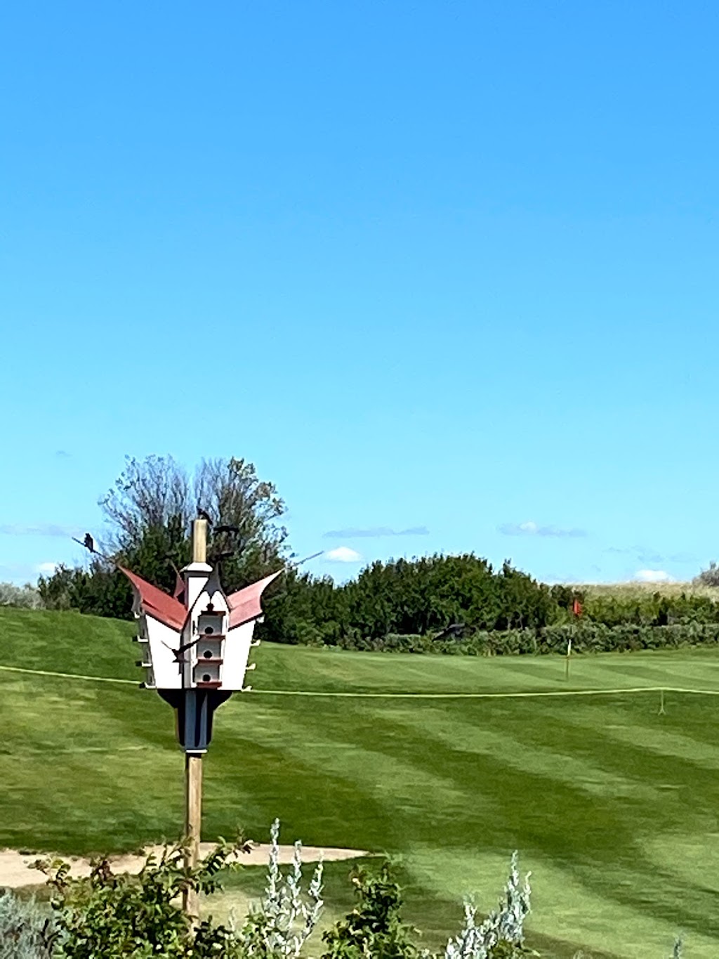 Sage View Golf Course | Palliser Regional Park, Riverhurst, SK S0H 3P0, Canada | Phone: (306) 353-2065
