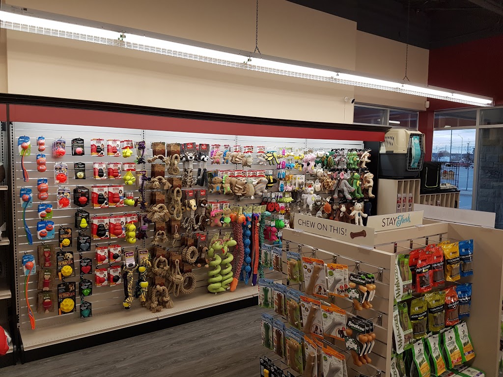 Global Pet Foods | 3737 Major MacKenzie Dr W #115, Woodbridge, ON L4H 0A2, Canada | Phone: (905) 303-2228