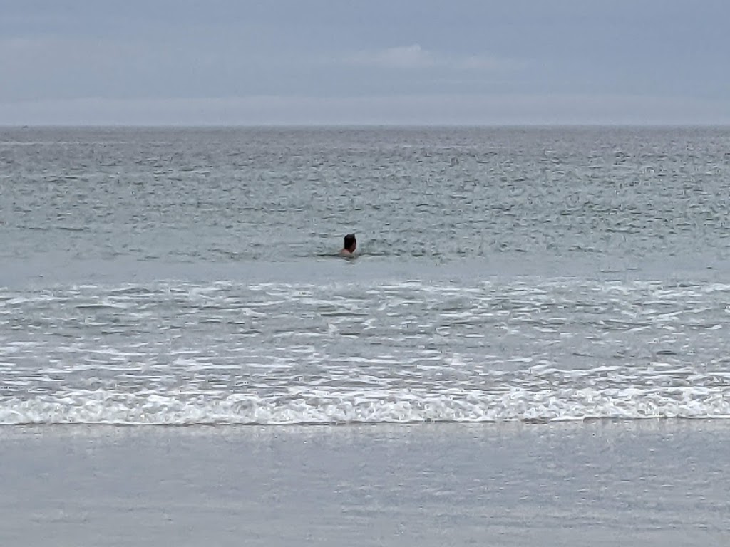 Stoney Island Beach | Kenny Rd, Clarks Harbour, NS B0W 1P0, Canada | Phone: (902) 903-0494