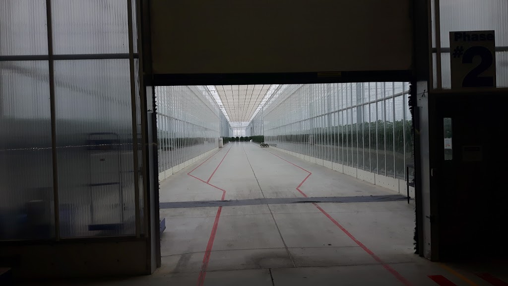 Pomas Farms Inc. | 1057 ON-77, Staples, ON N0P 2J0, Canada | Phone: (519) 326-4410