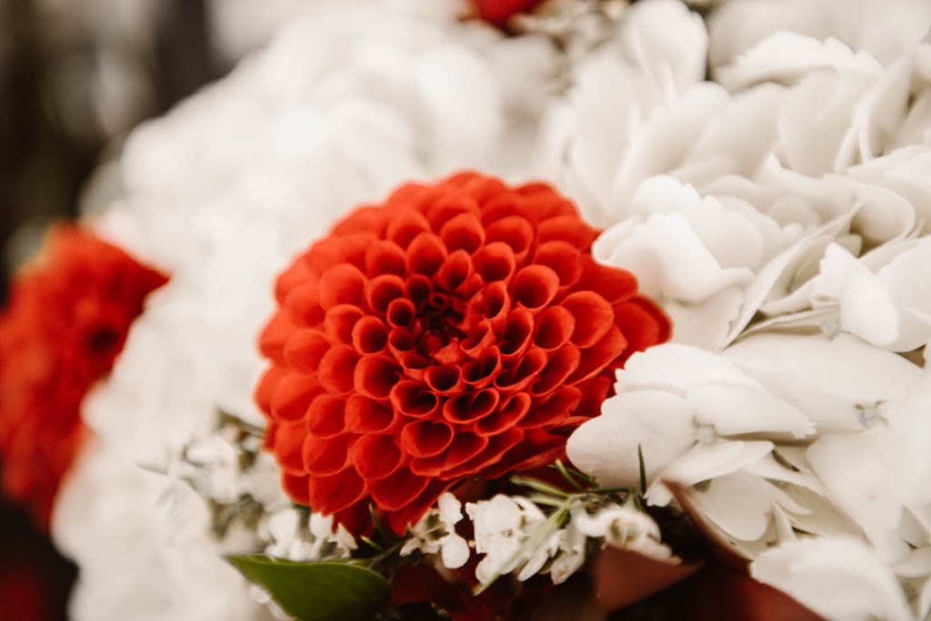 Flowers...More Often | 47 Northumberland St #1, Ayr, ON N0B 1E0, Canada | Phone: (519) 632-7691