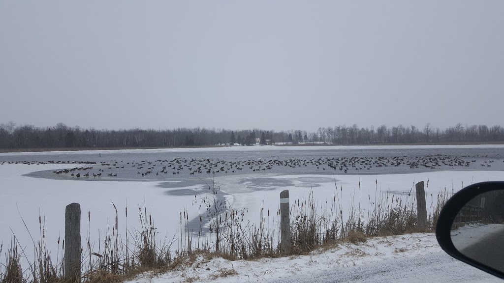 Cross Creek Marina & Resort | 825 River Rd, Lindsay, ON K9V 4R4, Canada | Phone: (705) 324-9543