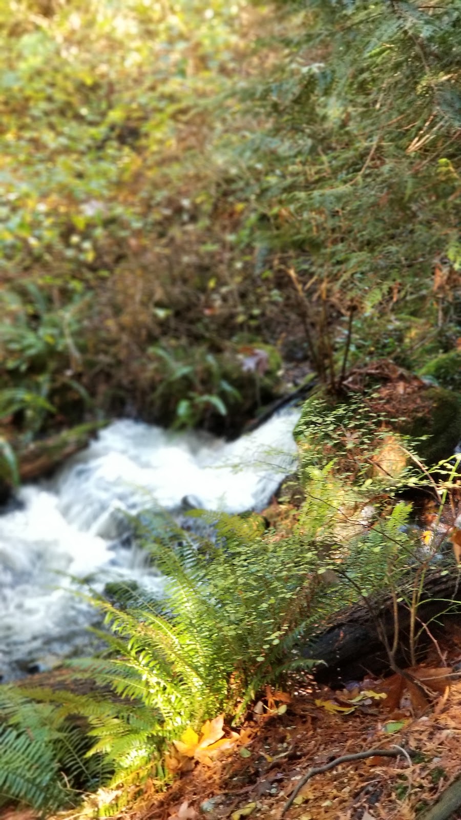 Larson Bay Park | West Vancouver, BC V7W, Canada | Phone: (604) 925-7200