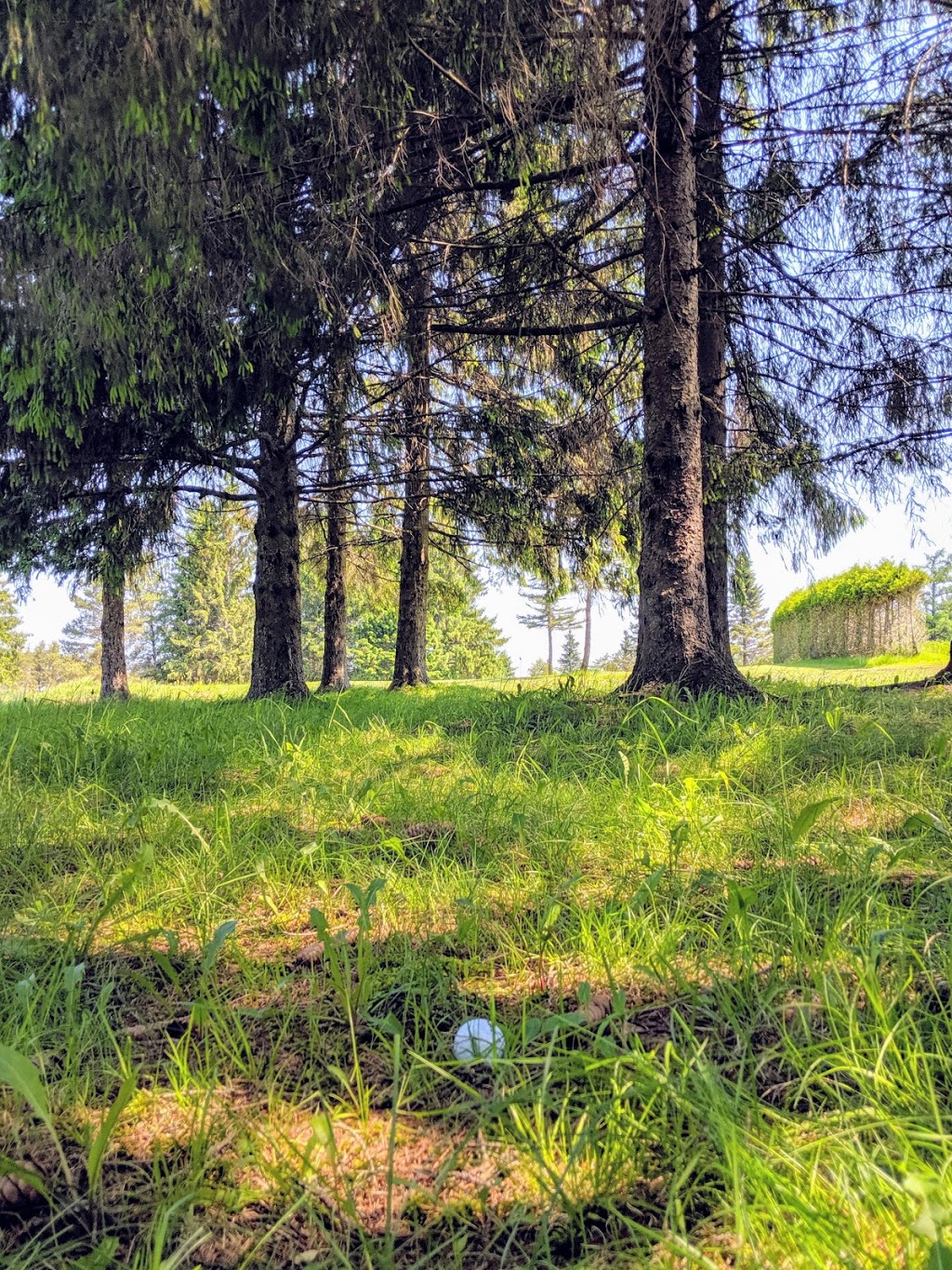 Club De Golf East Angus | 171 Rue Angus N, East Angus, QC J0B 1R0, Canada | Phone: (819) 832-3643