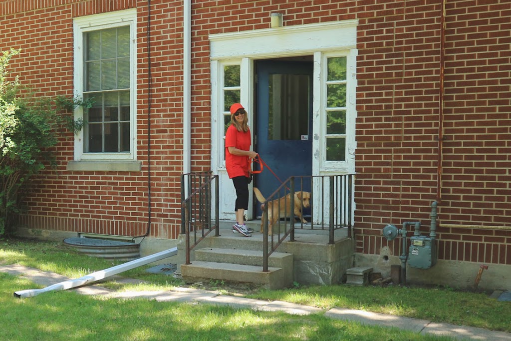 Let The Dog Out -On demand | 3 Boulder Crescent, Guelph, ON N1G 5A3, Canada | Phone: (519) 835-5836