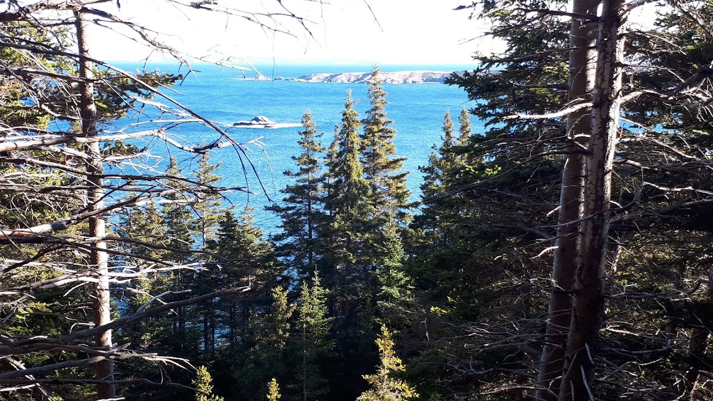 Pirates Path Trail | Mosquito Hill, Harbour Grace, NL A0A 2M0, Canada