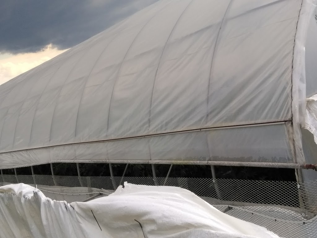 Northend Gardens | 4030 Fifteenth St, Jordan Station, ON L0R 1S0, Canada | Phone: (905) 562-0551