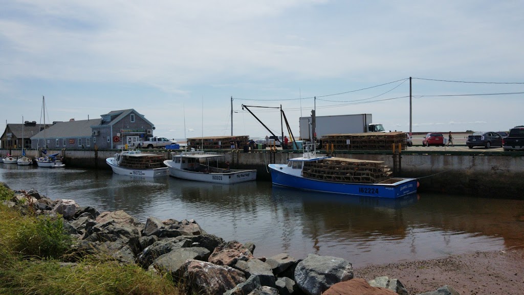 By-The-Sea-Kayaking & Adventures | 1 Water St, Victoria, PE C0A 2G0, Canada | Phone: (902) 658-2572