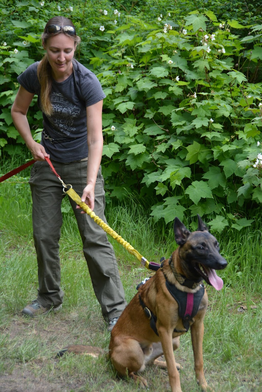 Guardian K9 Services | 46733 Portage Ave, Chilliwack, BC V2P 7H3, Canada | Phone: (604) 789-2244