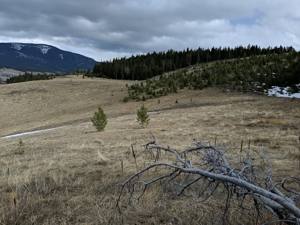 Green Mountain RV Park | 6700 15 Ave, Coleman, AB T0K 0M0, Canada | Phone: (403) 583-2267