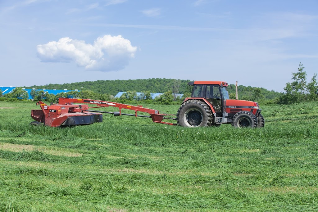 Ferme Courlin Inc. | 36 Rang Petit-Shenley, Saint-Éphrem-de-Beauce, QC G0M 1R0, Canada | Phone: (418) 484-2041