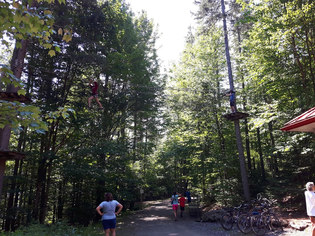DArbre en Arbre | 435 Chemin Ernest-Martin, Marston, QC G0Y 1G0, Canada | Phone: (819) 583-3965