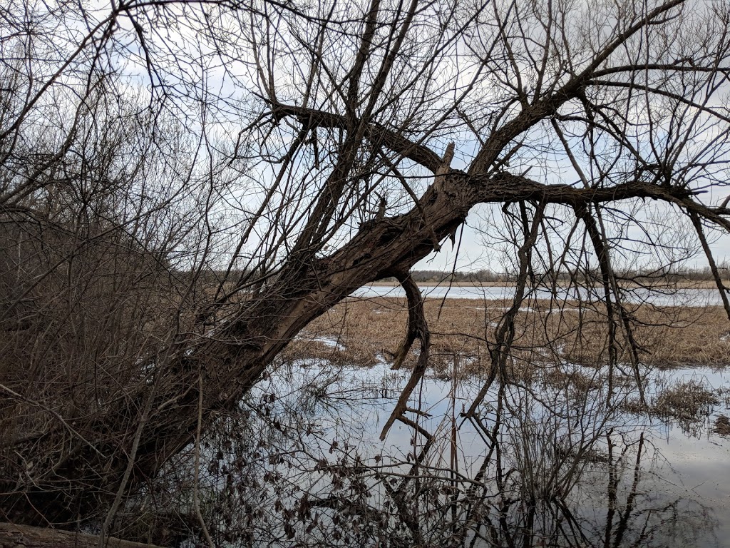 Mud Lake Conservation Area | 3031 Elm St, Port Colborne, ON L3B 5K7, Canada | Phone: (905) 788-3135