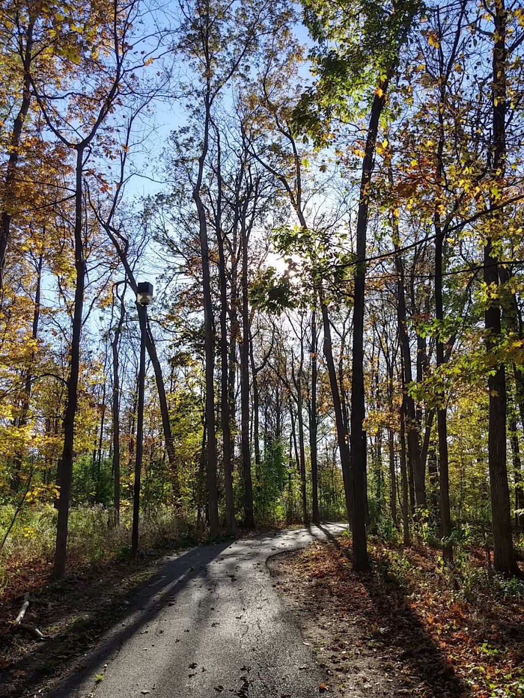 Maplewood Park | Maplewood Park Pathway, Mississauga, ON L5N, Canada