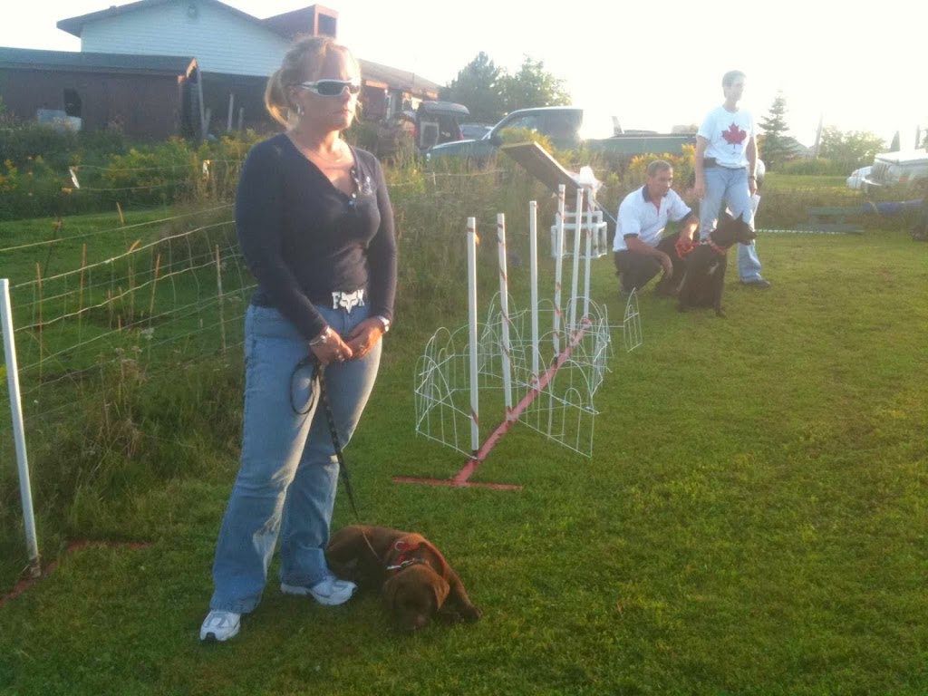 Darr Houssen Dog Boarding Facilities | 863 Indian Mountain Rd, Indian Mountain, NB E1G 3M9, Canada | Phone: (506) 872-4764