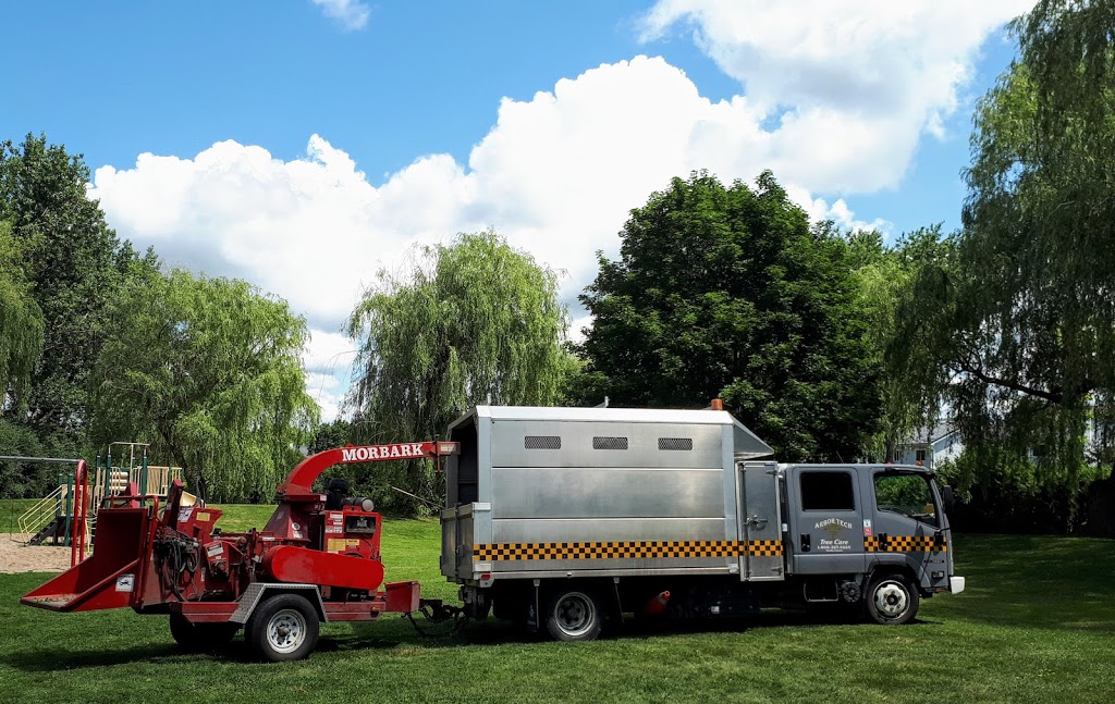 Arbor Tech Tree Care | 2360 Brock St, Manilla, ON K0M 2J0, Canada | Phone: (800) 327-3653