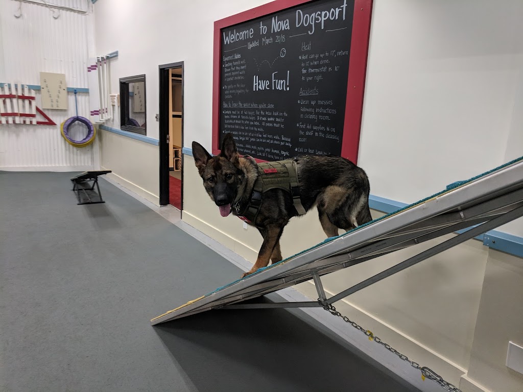 Nova Dogsport | 31 Weavers Lake Dr, Harrietsfield, NS B3V 1A4, Canada | Phone: (902) 402-4127