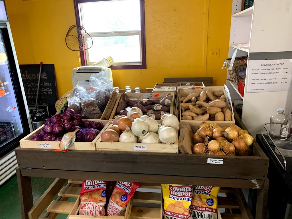 Suntrio Farm Inc | 8214 E Saanich Rd, Saanichton, BC V8M 1T5, Canada | Phone: (250) 652-1003