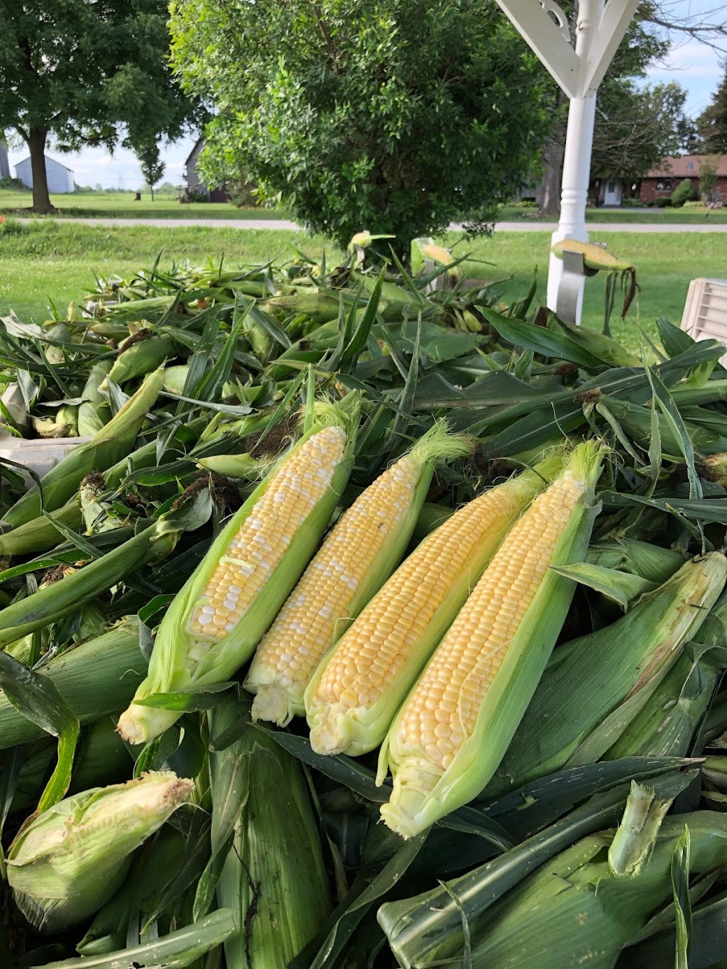 Cranston Farms | 37 Carluke Rd E, Ancaster, ON L9G 3L1, Canada | Phone: (905) 648-0176