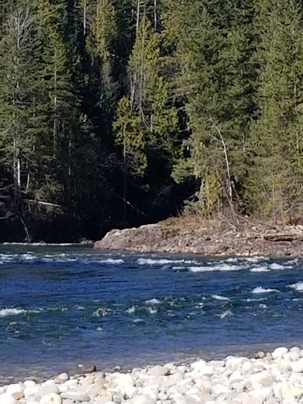 Kingfisher Community Society | 3337 Enderby Mabel Lake Rd, Enderby, BC V0E 1V5, Canada | Phone: (250) 838-6200
