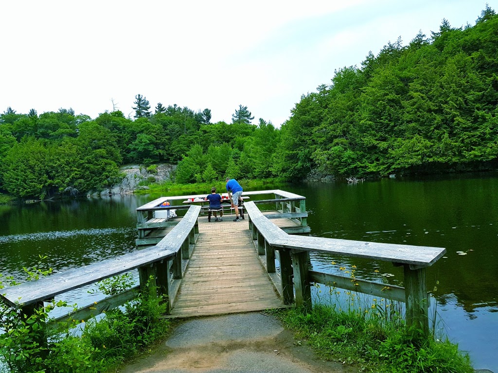 Lauriault Trail | Promenade Champlain, Chelsea, QC J9J, Canada