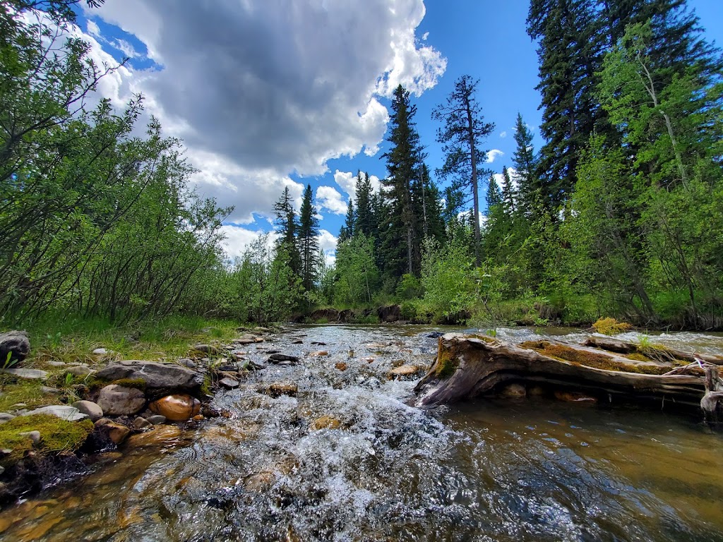 Prairie Creek Provincial Recreation Area | Clearwater County, AB T0M 2H0, Canada | Phone: (403) 845-8349
