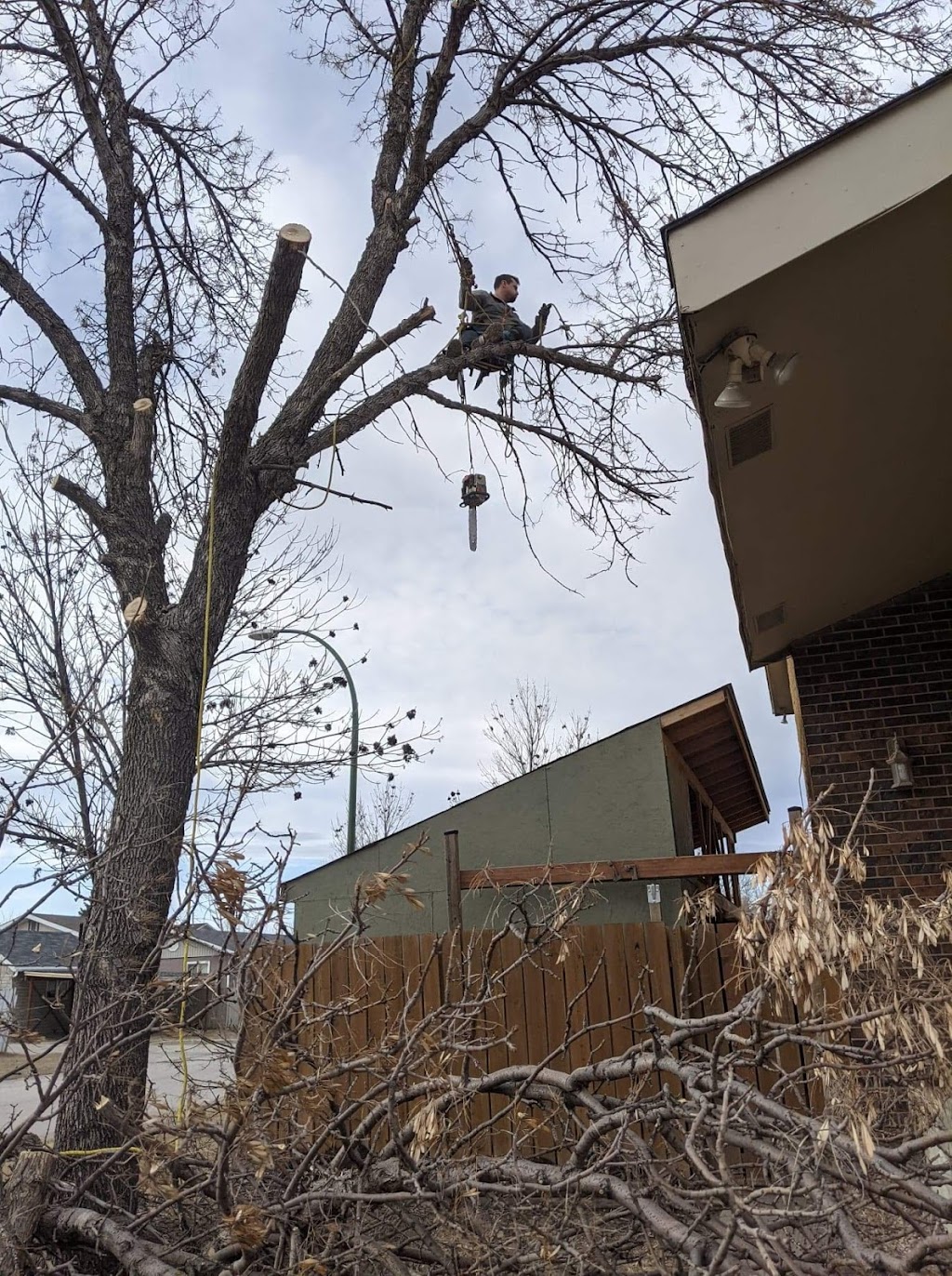 Horizon Tree Service | 1727 Loudoun Rd, Winnipeg, MB R3S 1A3, Canada | Phone: (204) 999-1706