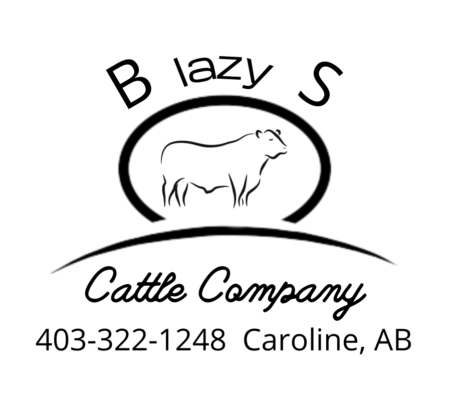 B lazy S Cattle Company | 363065 Range Rd 72, Clearwater County, AB T0M 0M0, Canada | Phone: (403) 322-1248