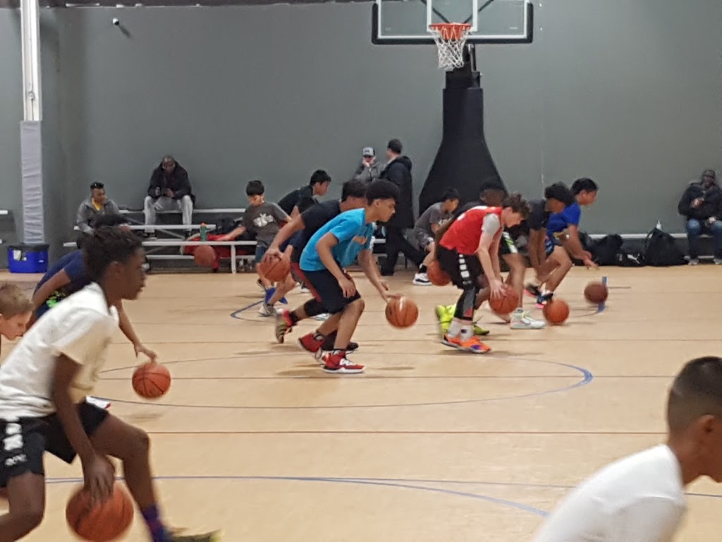 Z5 Courts | 5150 Dixie Rd, Mississauga, ON L4W 1E4, Canada | Phone: (416) 889-2854