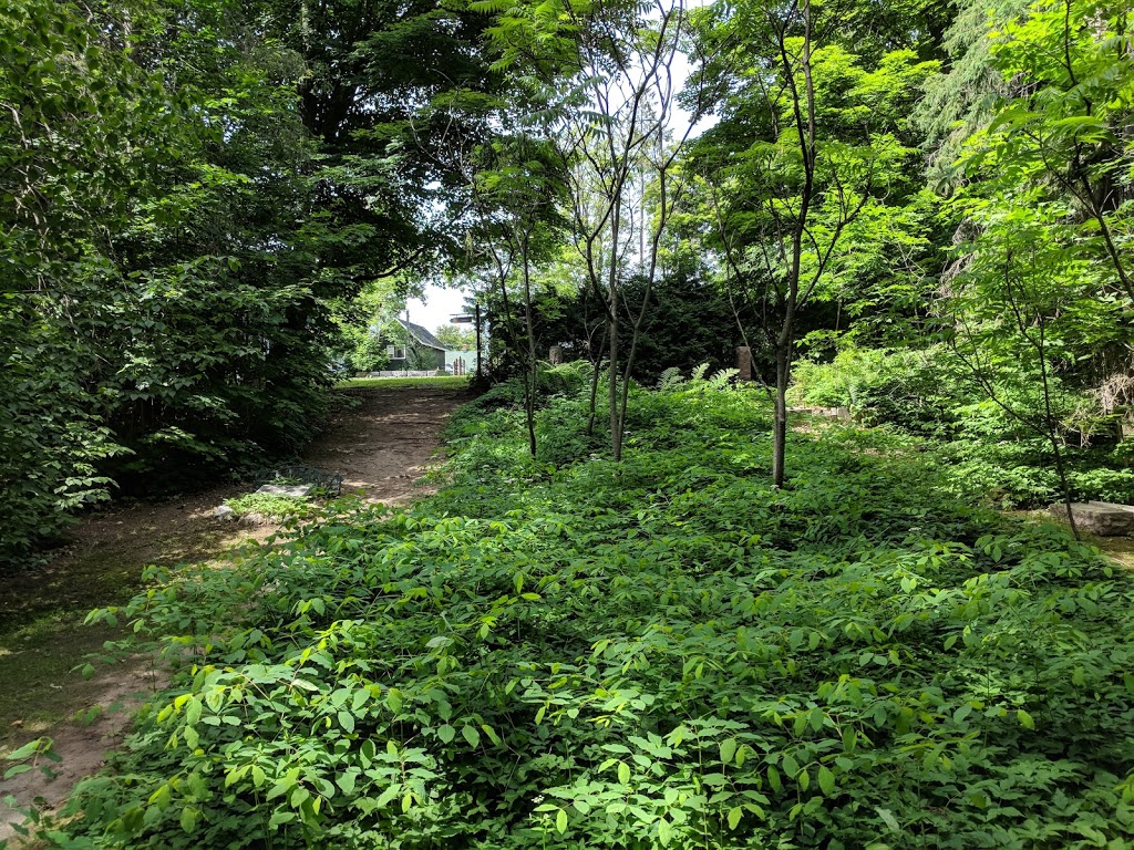 Old Chelsea Protestant Burial Ground | 249 Chemin Old Chelsea, Chelsea, QC J9B 1J3, Canada