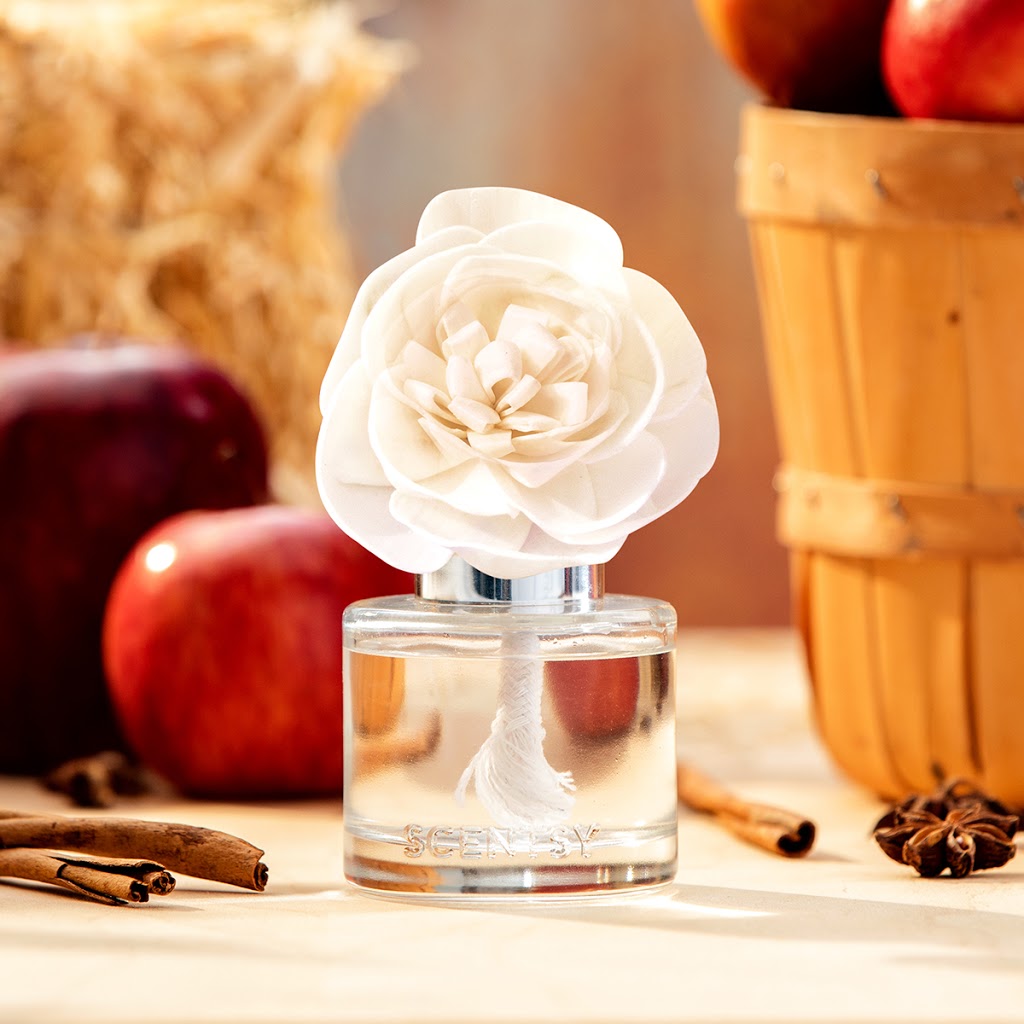 Logan Gibbons Independent Scentsy Consultant | 22788 Gilley Ave, Maple Ridge, BC V2X 2G2, Canada | Phone: (778) 877-9296