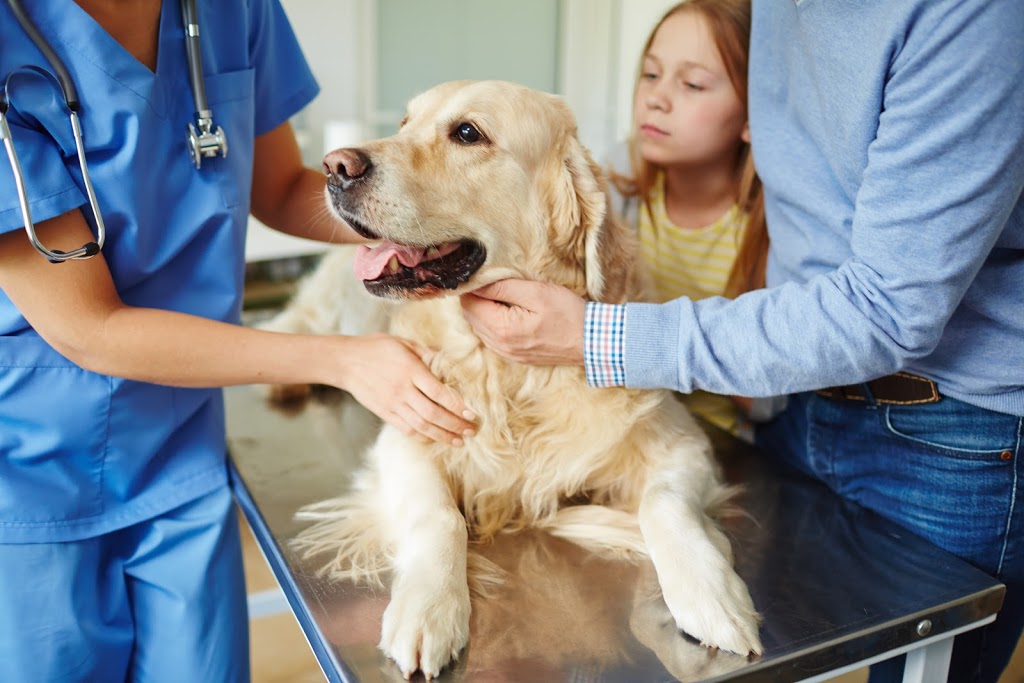 XLVets Canada | 1625 Angus Campbell Rd, Abbotsford, BC V3G 2G4, Canada | Phone: (800) 982-1674