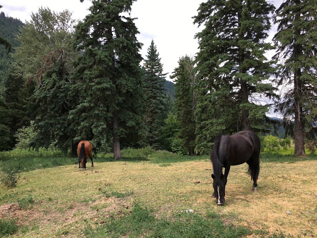 Tod Mountain Cabins | 3968 Heffley Louis Creek Rd, Heffley Creek, BC V0E 1Z1, Canada | Phone: (250) 578-0226