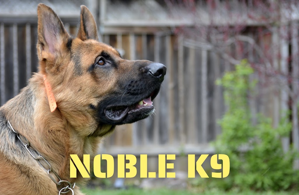 Noble K9 | 549 Trussler Rd, Kitchener, ON N2E 0C3, Canada | Phone: (226) 978-1090