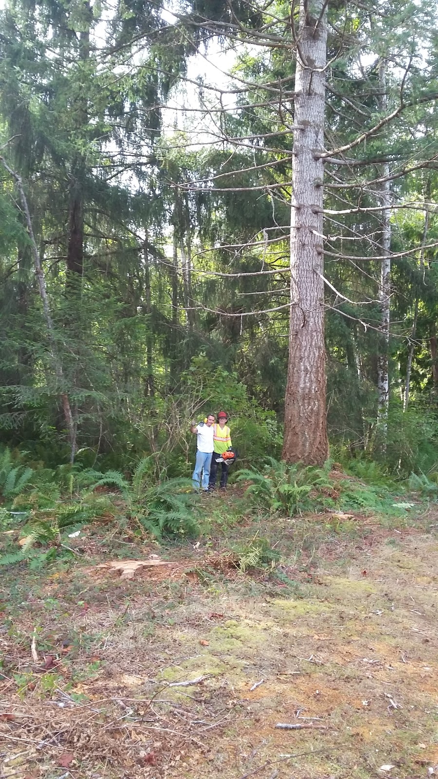 Fox Meadows Cottage | 305 Smiths Rd, Quathiaski Cove, BC V0P 1N0, Canada | Phone: (250) 285-3457