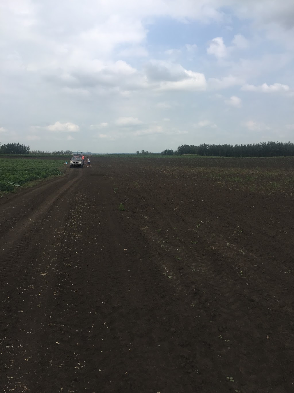 Lunds Organic Farm | 7501 C & E Trail T4G 0G9, Innisfail, AB T4G 0B1, Canada | Phone: (403) 506-1903