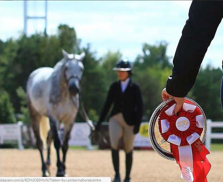 Pickering Horse Centre Ltd | 3800 Paddock Rd, Claremont, ON L1Y 1A2, Canada | Phone: (905) 626-9065