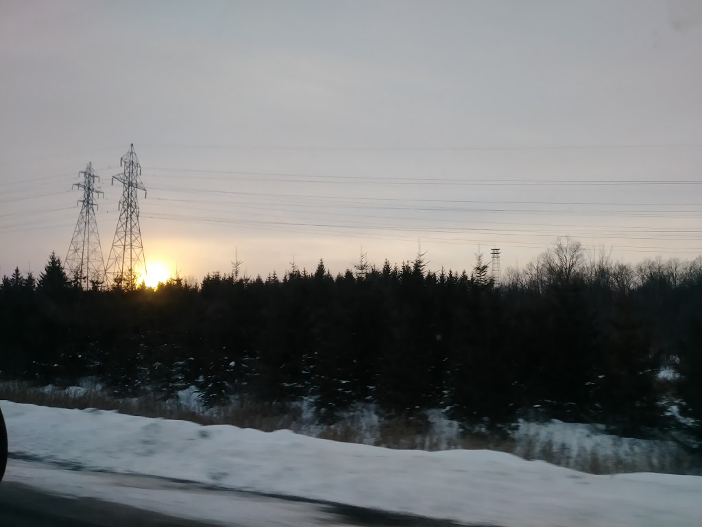 Crown Relocations - Ottawa | 2370 Walkley Rd Unit #210, Ottawa, ON K1B 3W3, Canada | Phone: (866) 870-1004