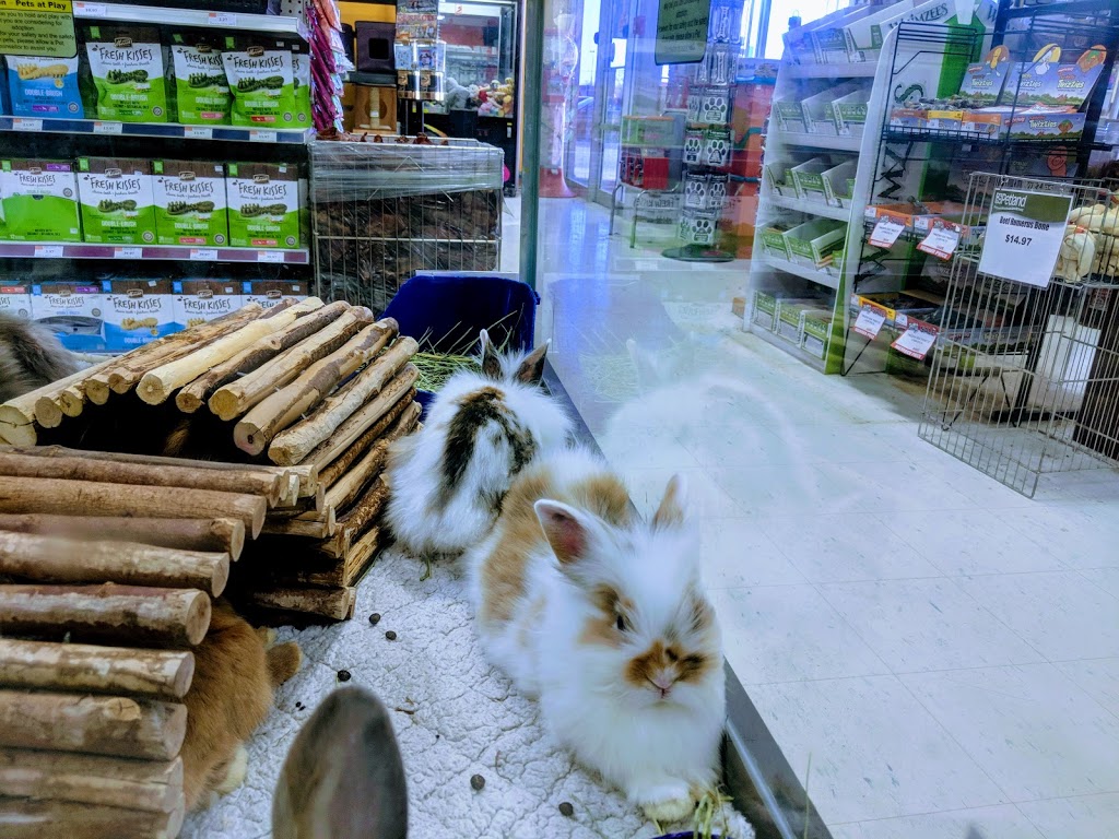 Petland | 24-1910 Pembina Hwy, Winnipeg, MB R3T 4S5, Canada | Phone: (204) 989-7616