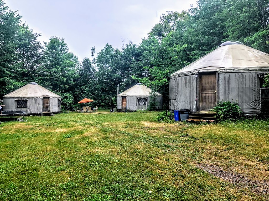 Ecofiest Yurts | 152 Hiltons Point Rd, Norland, ON K0M 2L0, Canada | Phone: (416) 879-4287