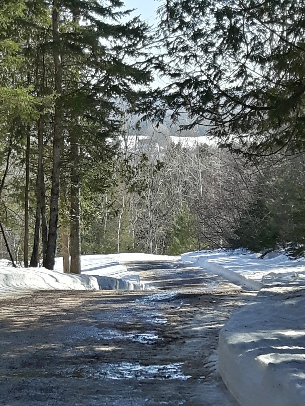 Bamara Inn | 998 Main St, Hampton, NB E5N 5X7, Canada | Phone: (506) 832-9099