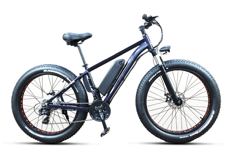 Ontario E Bikes | 2149 Quin Mo Lac Rd, Tweed, ON K0K 3J0, Canada | Phone: (613) 920-1847