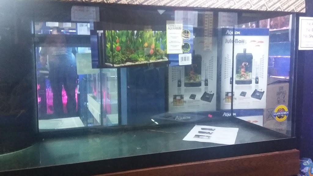 King Ed Pet Centre Ltd | 7377 Kingsway, Burnaby, BC V3N 3B8, Canada | Phone: (604) 525-4955