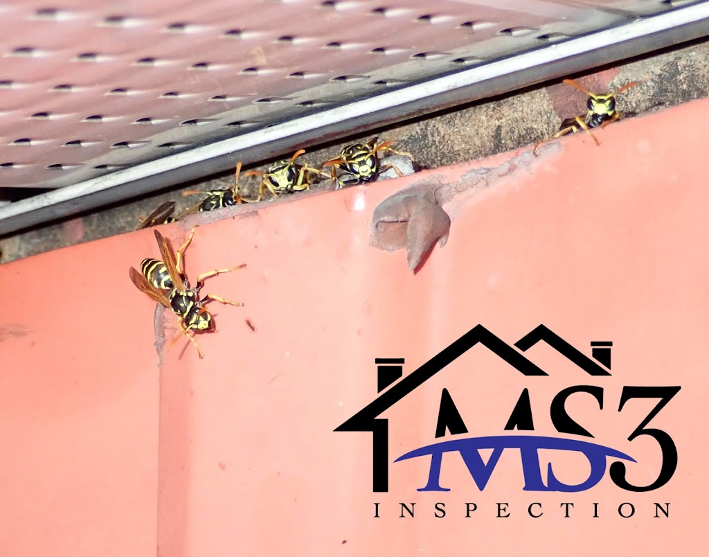 MS3 Inspection | 221 Rue Michelle, Sherrington, QC J0L 2N0, Canada | Phone: (514) 515-3343