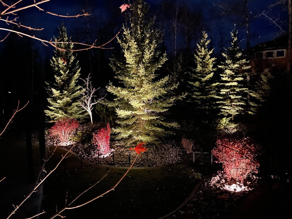 Lighting Doctor LTD. | Township Road 494, Hay Lakes, AB T0B 1W0, Canada | Phone: (888) 471-0008