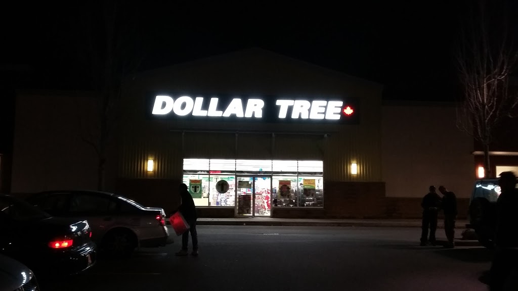 Dollar Tree | 12463 88 Ave B, Surrey, BC V3W 1P8, Canada | Phone: (604) 572-5644