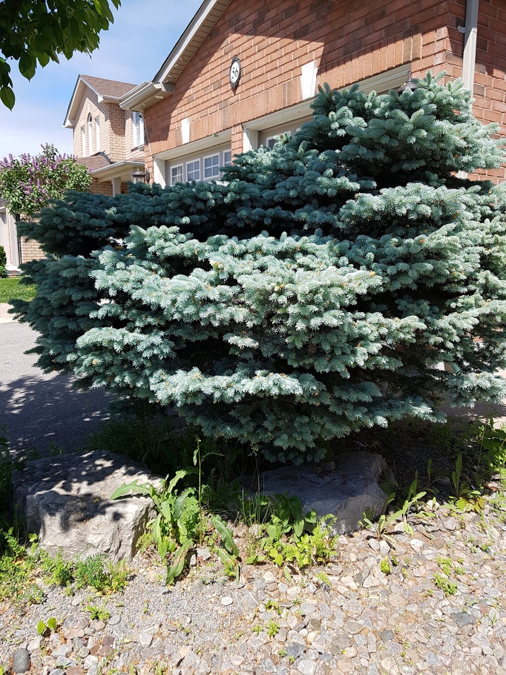 Barlow Court Parkette | 38 Barlow Ct, Bowmanville, ON L1C 5G5, Canada