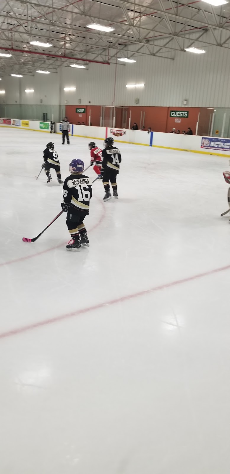 Red Circle Minor Hockey | 1221 Sandford St, London, ON N5V 2J8, Canada | Phone: (519) 453-1413