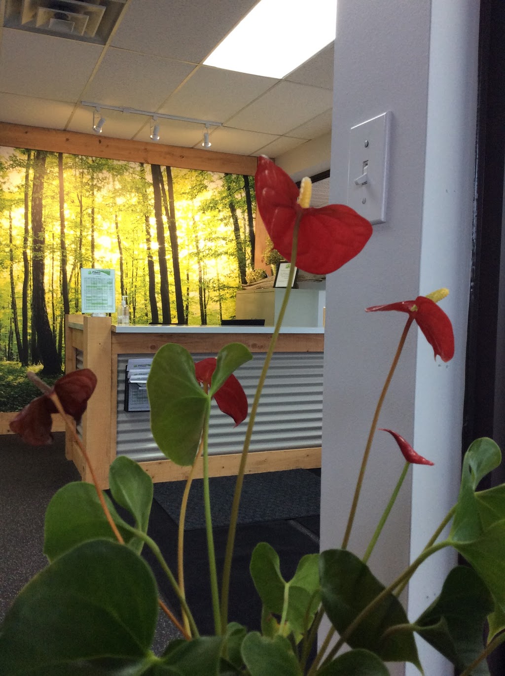 Pilates Nathalie Cadotte | 3852 Boulevard Sainte-Rose, Laval, QC H7P 1C4, Canada | Phone: (450) 937-8887