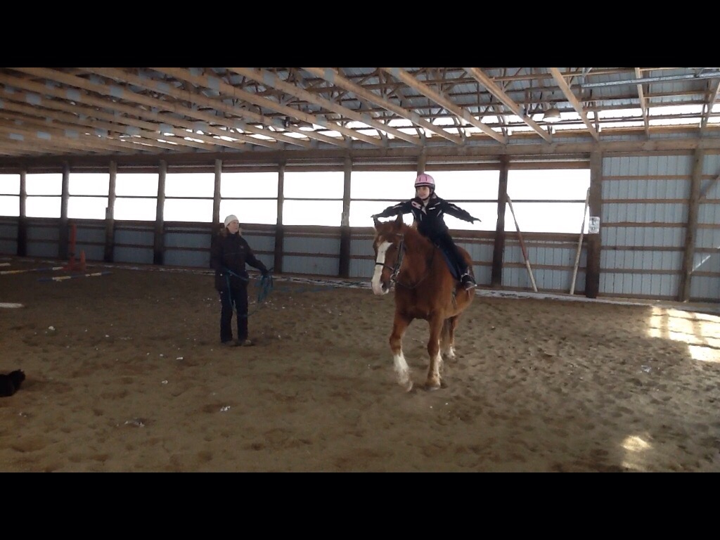 Hampton Riding Centre | 560 Lakeside Rd, Smithtown, NB E5N 3Y6, Canada | Phone: (506) 650-5999